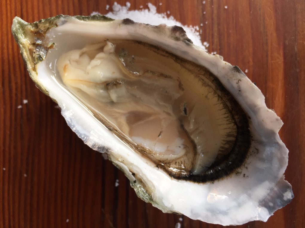 Oyster season is on!! | Olympia Oyster Bar